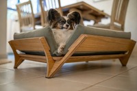 Modernes Umweltfreundliches Rechteckiges Holz-Baumwoll-Hundebett Solides Muster Haustier-Möbel Sofa Weich Klein Für Alle Jahreszeiten Geschenk