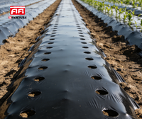 Film de paillage agricole noir en plastique PE, anti-herbe, rétention de chaleur et d'humidité, lutte antiparasitaire, résistance aux UV