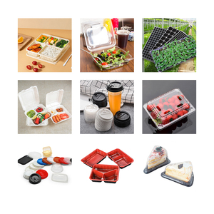 Máquina Automática de Línea de Producción de Termoformado de PS PP PVC BOPS PET Desechable para Envases de Alimentos - Product Image 5