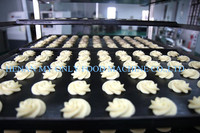 Machine à biscuits française ou mini petite machine à biscuits pour la maison