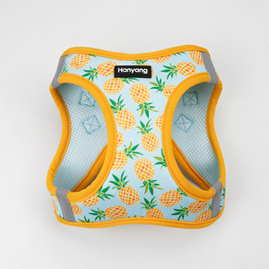 OEMカスタムデザイナーペットドッグハーネスリーシュとカラーセットプルなしパーソナライズされた犬アクセサリーベストソフトドッグハーネス7 PCSセット - Product Image 3