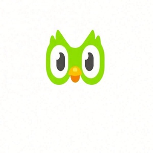 Cuenta Premium Duolingo Pro Edu, 1 Año, Aplicable en Todo el Mundo, Activa Tu Propia Cuenta - Product Image 2