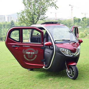 Tricycle à faible vitesse entièrement fermé pour adultes, 3 places, petit/mini, scooter/véhicule/voiture à vendre, 1500W - Product Image 1