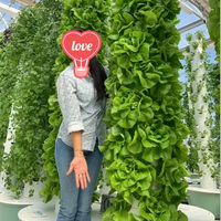Grand Système Hydroponique Vertical pour Légumes et Ananas, Tours de Culture Aéroponique en PVC