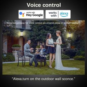Paquete de 2 Lámparas de Pared Inteligentes Impermeables IP67 OEM ODM de Fábrica, Lámpara de Pared para Exteriores RGBCW de 8W - Product Image 4