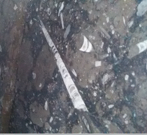 Đá Cẩm Thạch Hóa Thạch Màu Nâu Hóa Thạch Ma-rốc - Product Image 3