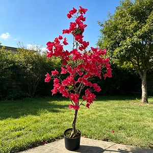 High Quality Real Touch <b>Artificial</b> Silk Bougainvillea <b>Trees</b> Durable <b>Indoor</b> Desktop Plants - Product Image 5