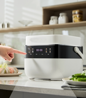 Cuiseur à riz intelligent personnalisé en usine fonction faible teneur en sucre pour ménage hôtel extérieur électrique en plastique produit de cuisine OEM/ODM