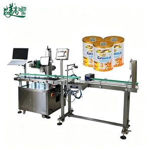 Machine de marquage laser CO2 Tanba One Item One Code GS1 Datamtrix pour la ligne de production de boîtes de lait en poudre - Product Image 2