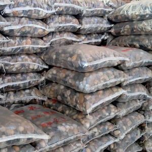 Cailloux naturels polis à haute brillance Villa écologique parc jardin paysage pavés Design moderne fleur de pluie extérieure - Product Image 6