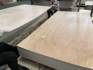 3MM -18mm Contreplaqué pour meubles, <span class=keywords><strong>plafond</strong></span>, panneau mural - Product Image 4