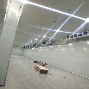 Grand congélateur de chambre froide Capacité de dix mille tonnes utilisée pour les industries agricoles <span class=keywords><strong>Prix</strong></span> compétitif Caractéristique du compresseur Bitzer - Product Image 2