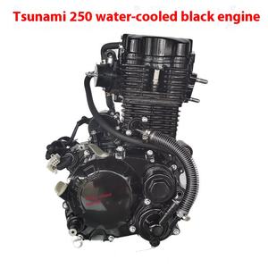 Nuevo Motor de Triciclo Tsunami de 250cc <span class=keywords><strong>200cc</strong></span>, Doble Refrigeración por Agua, 4 Tiempos, Encendido CDI, Arranque Eléctrico, para ATV y Motocicleta - Product Image 3