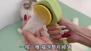 Brosse autonettoyante pour animaux de compagnie, peigne à poils flottants à une touche pour chat et chien, brosse de massage pour chat, accessoire de nettoyage - Product Image 2
