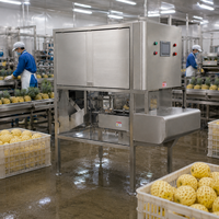 Industriële automatische ananas-schilmachine voor fruit- en groenteverwerkingsfabrieken, hoogrendementsapparatuur
