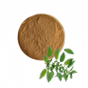 Poudre d'extrait sec de racine d'<span class=keywords><strong>ortie</strong></span> (Urticae Radix) en gros d'usine à prix avantageux - Product Image 2