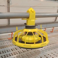 Ligne d'alimentation automatique pour volailles au sol, mangeoire à vis sans fin robuste et réglable, galvanisée, pour poulets de chair et reproducteurs, à économie de main-d'œuvre