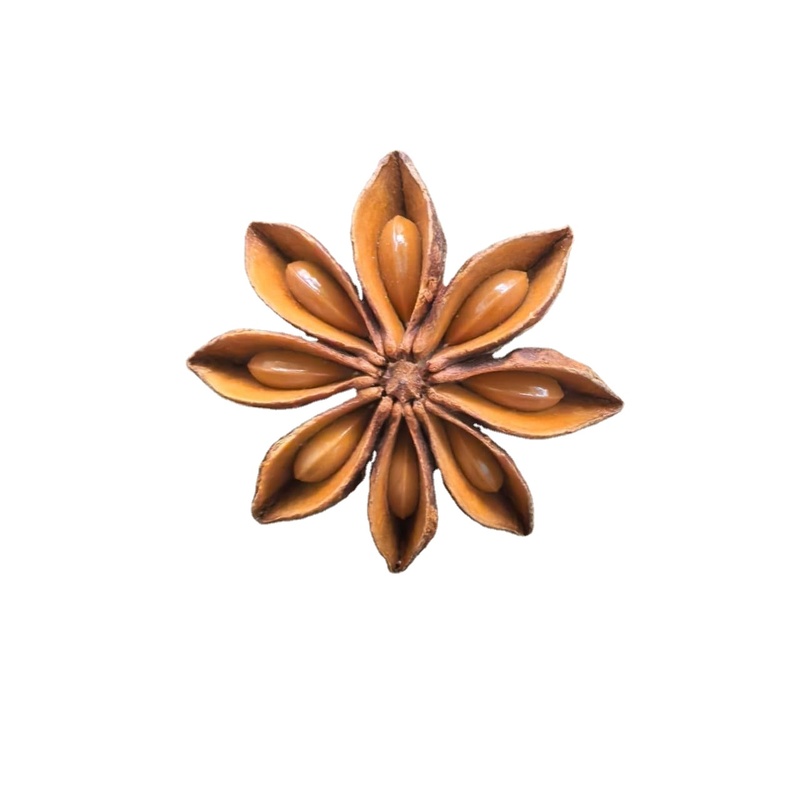 Yongjiang Star Anise Dried Brown Red