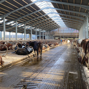 Contenedor Plegable para Apartamentos, Panel Sándwich, Almacén Prefabricado de Alta Calidad y Bajo Costo - Product Image 3