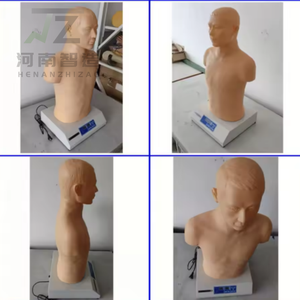 Modello 2026 in PVC per Auscultazione Cardiopolmonare, Manichino per Palpazione con Stetoscopio per Cuore e Polmoni - Product Image 2