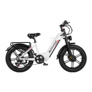 Bicicleta Eléctrica Deportiva de Montaña con Doble Motor, Neumáticos Gruesos 20*4, 7 Velocidades, Amortiguadores Dobles y Frenos Hidráulicos, Entrega en un Solo Lugar en la UE - Product Image 2