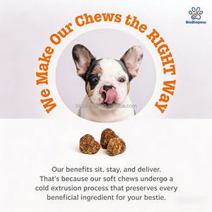 Integratore Multivitaminico OEM/ODM 11-in-1 per Cani, per Articolazioni, Pelle e Pelo, e Supporto al Sistema Immunitario, Bocconcini Morbidi Naturali per Cani - Product Image 5