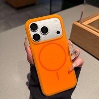 Coque TPU - Style Crème Glacée - Magnétique Liquide 3D - Finition Ressemblant à une Peau - Résistante aux Chutes pour 17 Pro Max