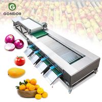 Kwaliteitsselectie- en sorteermachine voor walnoten, peper, aardbeien, citrusvruchten, fruitgrootteclassificatie, 5 ton/uur was- en sorteerapparaat