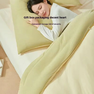 Parure de lit personnalisée Parure de lit très épaisse Couette d'hiver avec rembourrage en microfibre Ensemble de draps de lit en polyester de couleur - Product Image 2