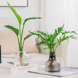 Sáng Tạo Ánh Sáng Sang Trọng Hiện Đại Thủy Canh Nhựa Trong Suốt Bàn Bình Hoa Lọ Hoa Trang Trí Nhà Đồ Trang Trí Màu Xanh Lá Cây Hoa Hồng Tiền - Product Image 2