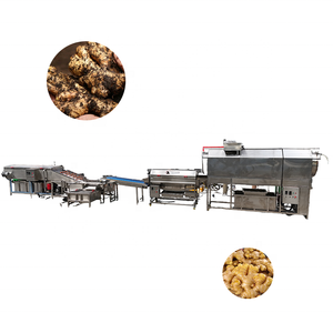 Équipement de lavage et de pelage continu automatique motorisé pour légumes et fruits, destiné aux usines ou lignes de transformation alimentaire - Product Image 1