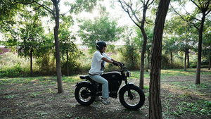 Top Bán Hàng Hiệu Suất Cao 20 Inch Động Cơ Điện Xe Đạp Chất Béo Lốp 7 Tốc Độ Cruiser 500W Động Cơ Xe Máy Điện E-Xe Đạp - Product Image 4