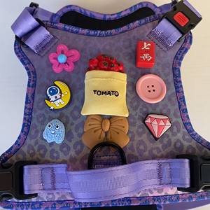 طقم سترة فاخرة للكلاب مع تصميم بفتحات، إكسسوارات قابلة للتخصيص، زي قابل للتعديل لمشي الجراء - Product Image 2