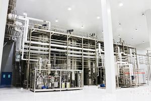 Самый продаваемый высококонцентрированный пробиотик в порошке Lactobacillus Plantarum CCFM1143 - Product Image 5