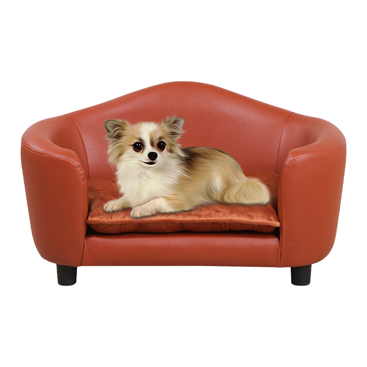 Provide Multi color High end Pet