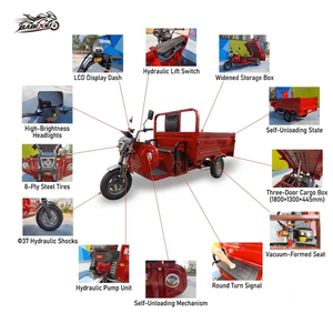Tricycle cargo motorisé fermé haute puissance, tricycle électrique <span class=keywords><strong>à</strong></span> <span class=keywords><strong>3</strong></span> <span class=keywords><strong>roues</strong></span> pour adultes, capacité de charge de 200-300 kg, certifié DOT, <span class=keywords><strong>à</strong></span> <span class=keywords><strong>vendre</strong></span> - Product Image 4