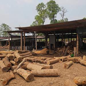 Briquetas de madera dura Natural 100%, palo de carbón para barbacoa, carbón blanco sin humo de calidad superior, Greenlife Asia JSC - Product Image 6