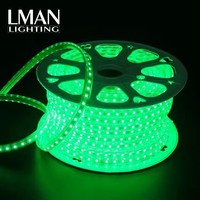 Paysage extérieur super lumineux allumant la lumière de corde de RVB LED SMD5050 60LEDS/M 12 W/M bande de lumière de RVB LED