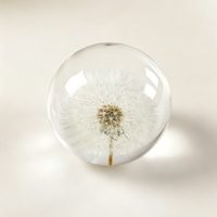 Produits Artisanaux Innovants en Résine : Boule Ronde en Résine avec Fleur de Pissenlit, Ornements en Boule de Cristal en Résine