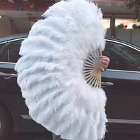Autruche blanche burlesque rose grandes plumes de paon éventails de plumes pour mariage et église