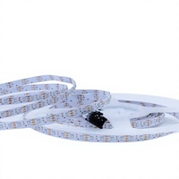 Bande LED RGBIC Dream 5 mm USB avec puce WS2812 intégrée, 160 LED adressables individuellement et programmables avec effets dynamiques