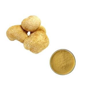 Sıcak satış ab ve USDA standart organik sertifikalı aslanlar yele özü tozu organik aslan yelesi özü - Product Image 1