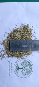 Meilleures ventes de Gotu Kola séché/Indian Pennywort (Centella Asiatica) Infusions aux herbes Sachet de thé emballé en vrac coupé (T-CUT) - Product Image 2