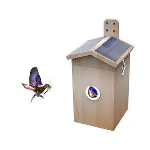 1080P HD kamera App ile kuş evi haber güneş enerjili akıllı kuş evi su geçirmez ahşap