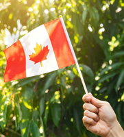 Drapeaux à main miniatures du Canada, vente en gros d'usine, drapeaux à main personnalisés de tous les pays, petits drapeaux ondulants pour la décoration d'événements et de fêtes