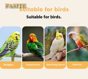 Jaula de pájaro Circular de lujo de alta calidad loro canario grande Animal-impreso hierro madera plástico jaula de acero transpirable elegante caja - Product Image 6