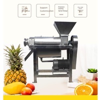 Industriële commerciële spiraalvormige granaatappelpers met motor, roestvrijstalen apparatuur voor de verwerking van fruit, groenten en dranken