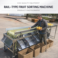 Volledig automatische multifunctionele fruit- en groente sorteermachine voor het sorteren op maat van lychees, met 220V/380V