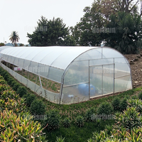 Grande serre agricole verticale à simple travée avec film PE et ventilation latérale et supérieure