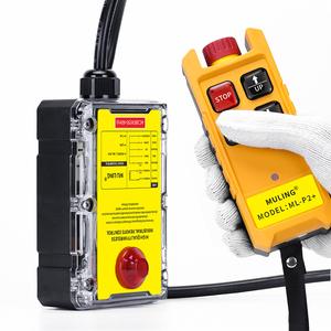 ML-P2+ 868MHz รีโมทคอนโทรลไร้สาย 12V ระบบควบคุมอัตโนมัติในบ้าน ตัวควบคุมวิทยุสำหรับประตู เครื่องปรับอากาศ และรอก - Product Image 3